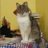Отзыв от Ираида Звягинцева